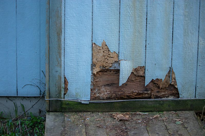 Damaged Siding Replacement