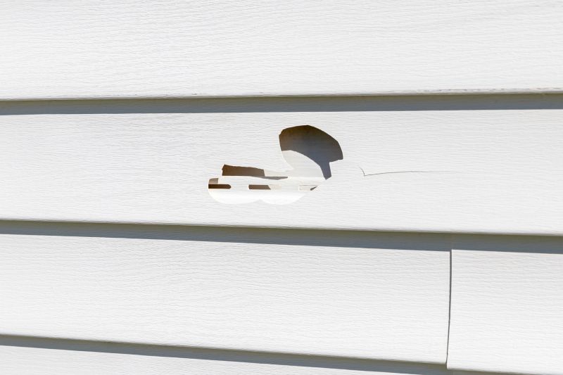 Crack Fix in Vinyl Siding